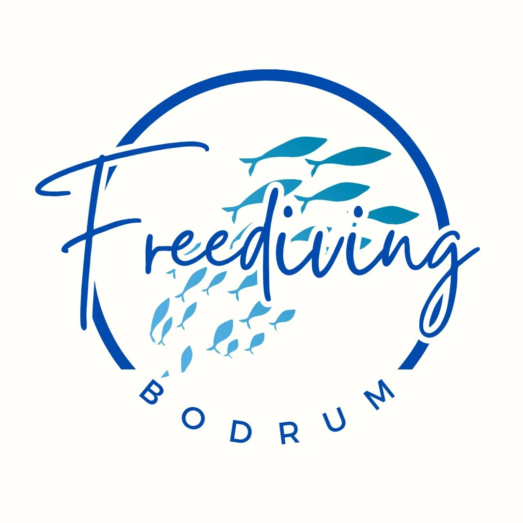 Free Diving Bodrum profil fotoğrafı
