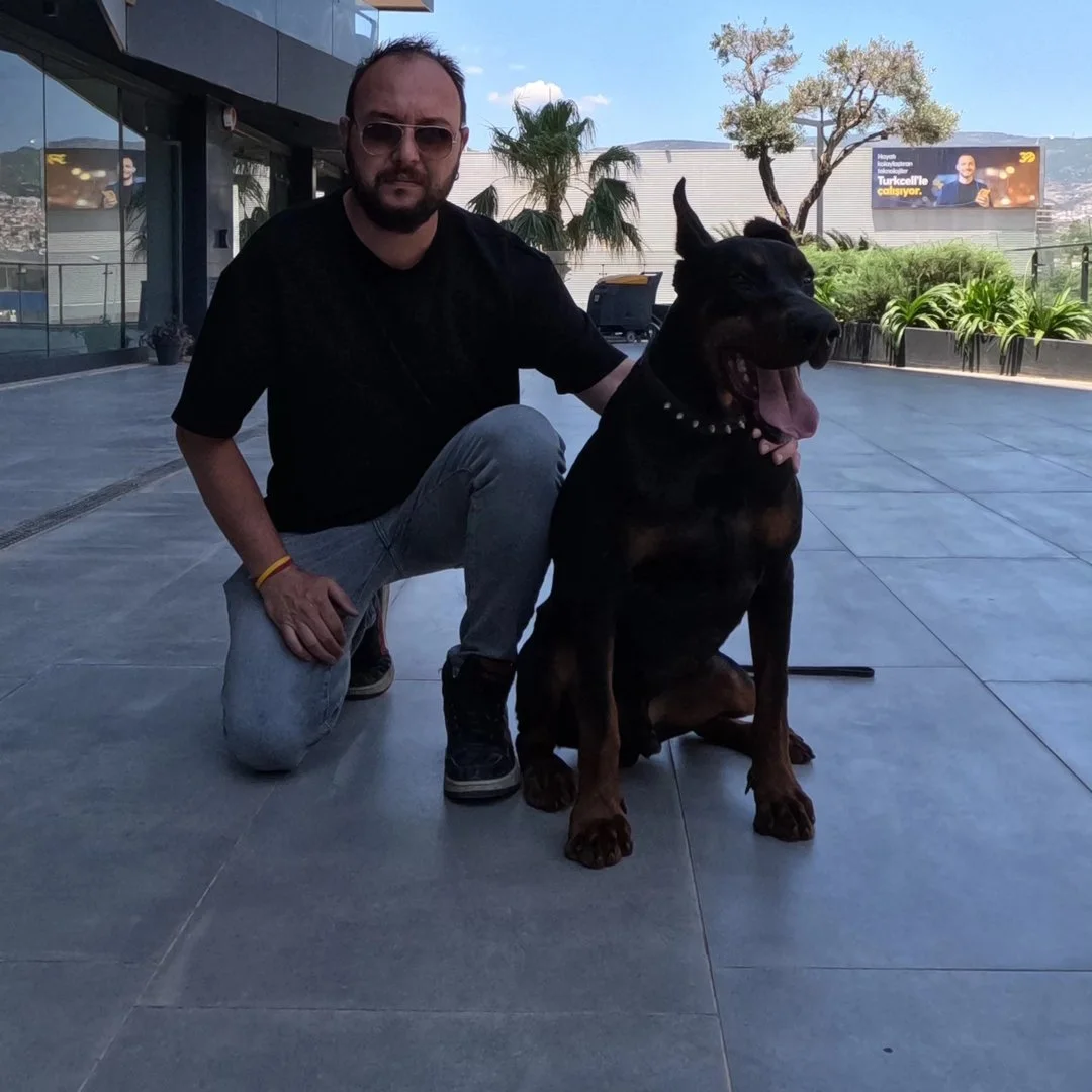 İzmir Köpek Eğitim profil fotoğrafı